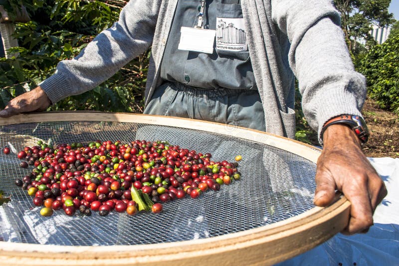 Laos: A Unique Coffee Landscape