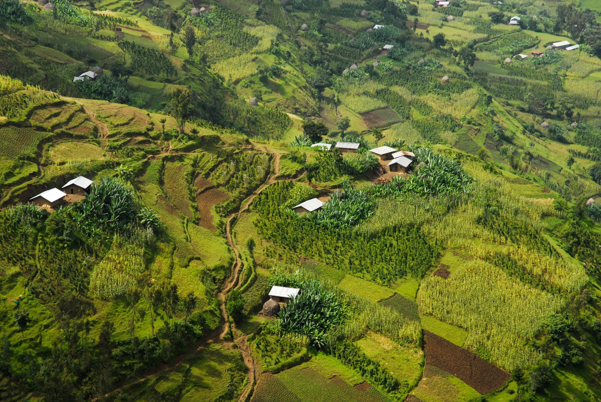 Ethiopia